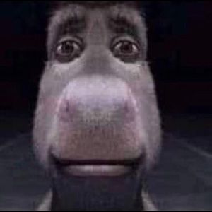 Meet your Posher, Barb